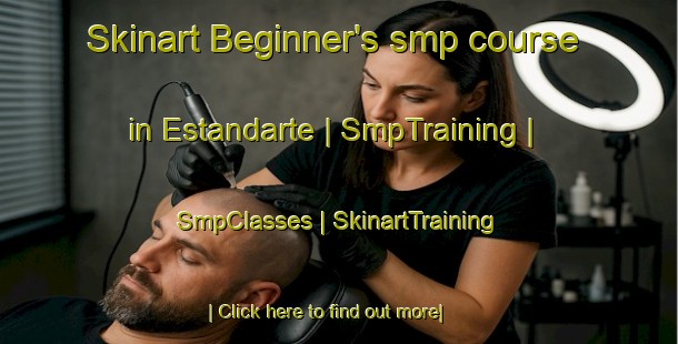 Skinart Beginner's smp course in Estandarte | SmpTraining | SmpClasses | SkinartTraining-Brazil